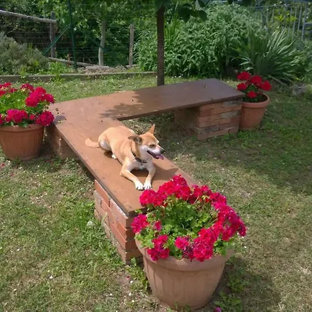 Borgo Foce La Spezia Διαμέρισμα *