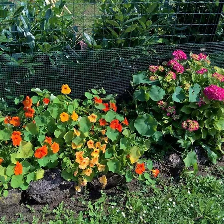 Borgo Foce La Spezia Διαμέρισμα