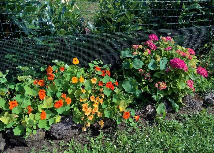 Borgo Foce La Spezia Apartamento