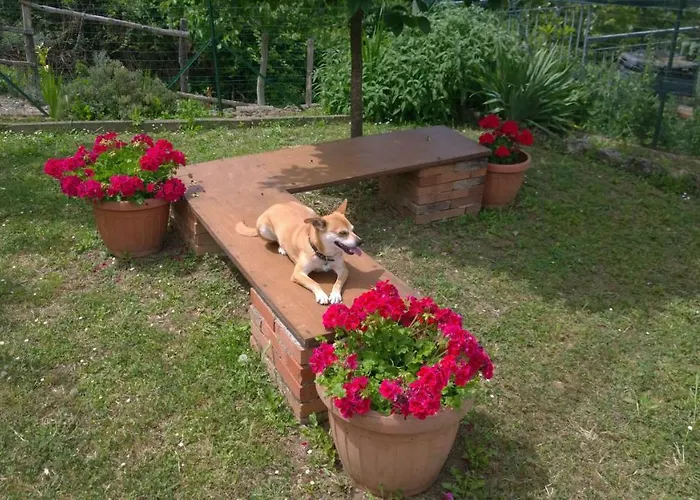 Borgo Foce La Spezia Appartamento *